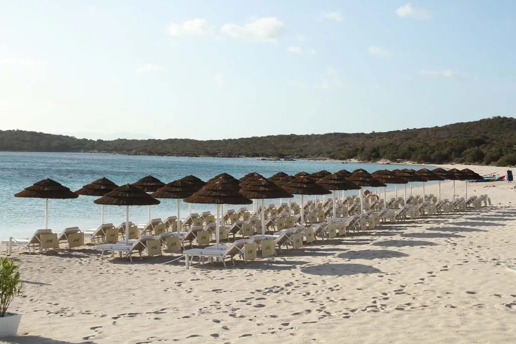 File di ombrelloni Dolphin Beach sulla spiaggia